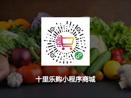 十里乐购小程序商城