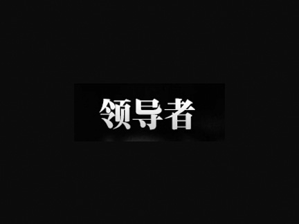 领导者国际集团有限公司